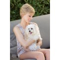 Dixie by Amore 